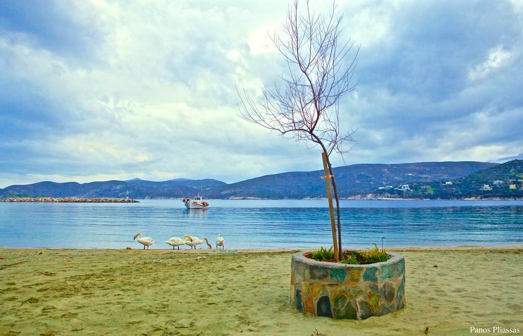 Argo Rooms & Studios Agioi Apostoloi  Dış mekan fotoğraf
