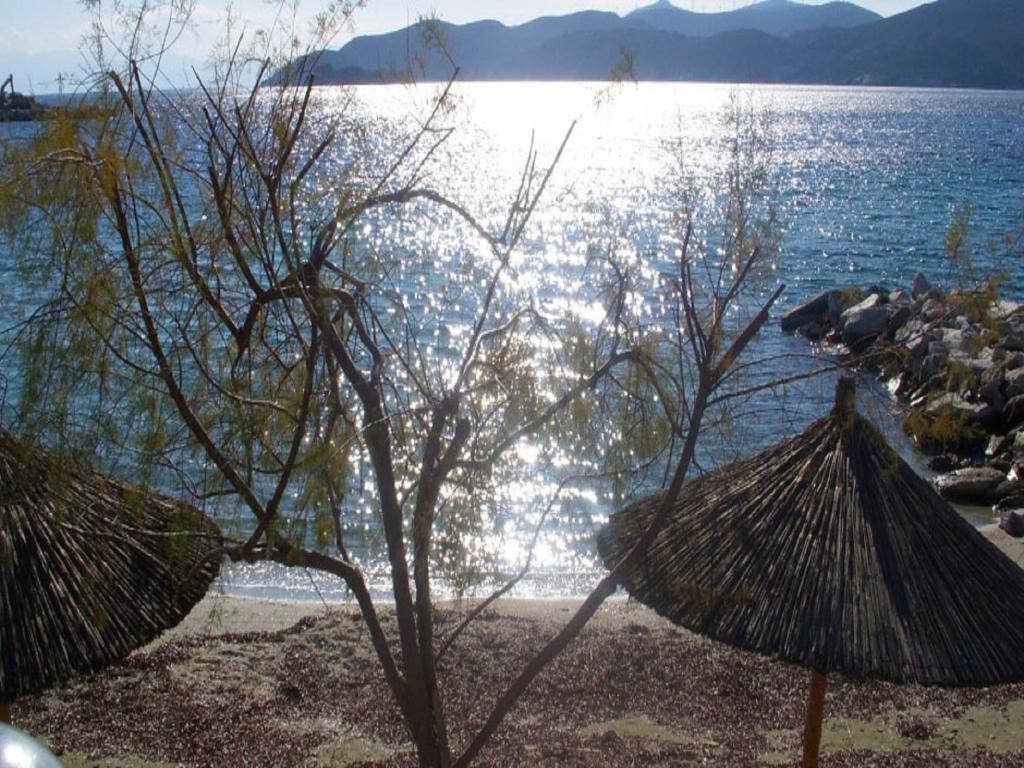 Argo Rooms & Studios Agioi Apostoloi  Dış mekan fotoğraf
